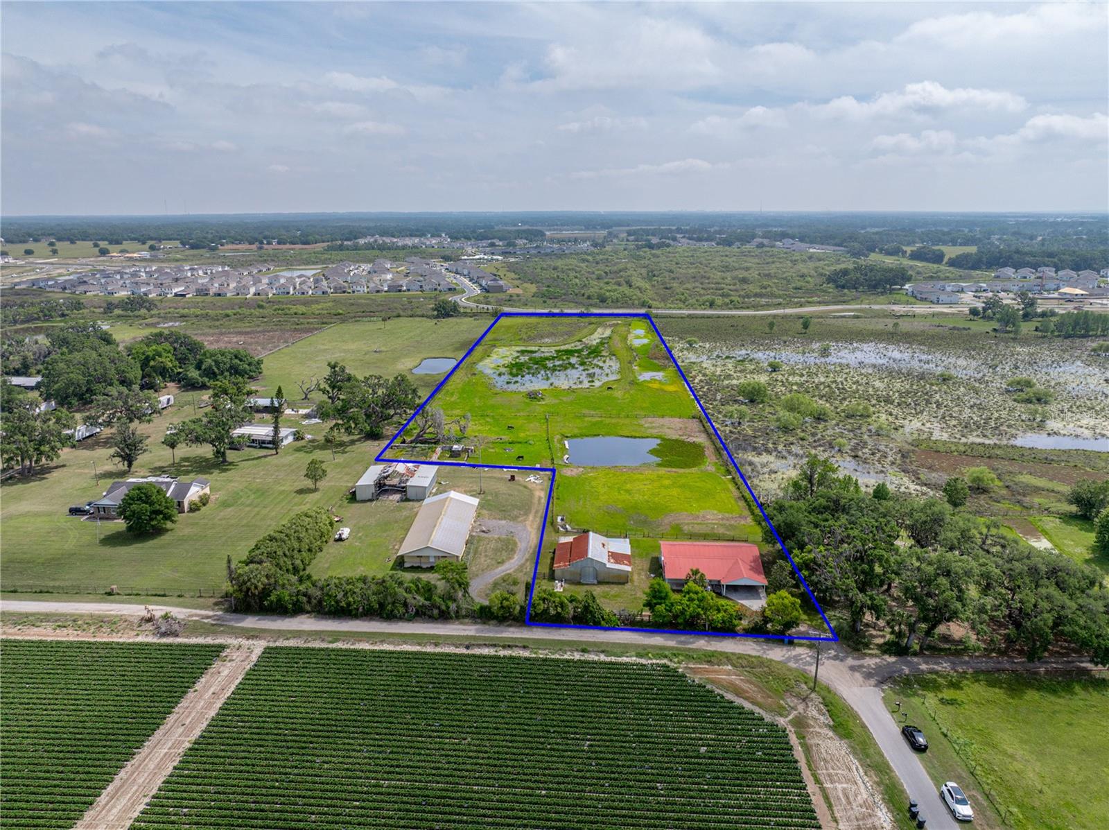 3301 LAMPP RD, PLANT CITY, FL, 33565