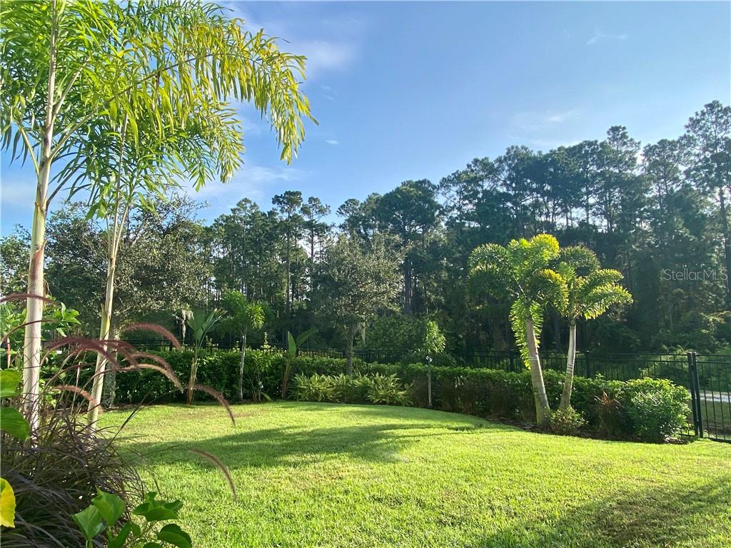 13173 LOWER HARDEN AVE, ORLANDO, FL, 32827