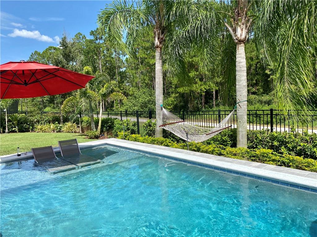 13173 LOWER HARDEN AVE, ORLANDO, FL, 32827