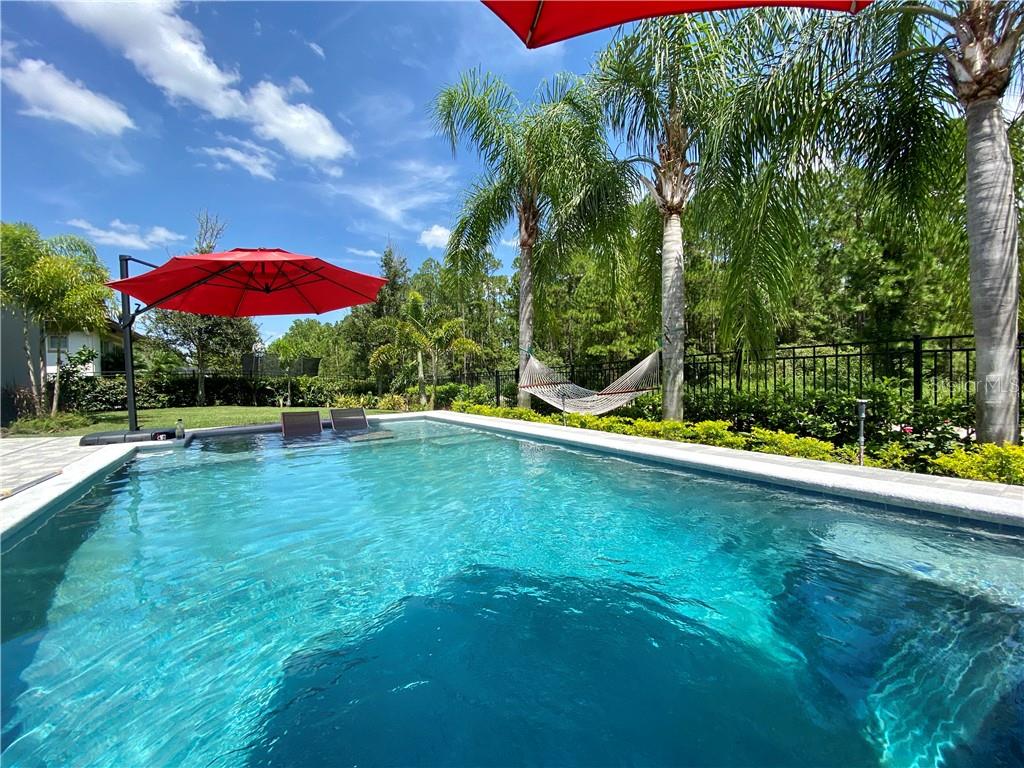 13173 LOWER HARDEN AVE, ORLANDO, FL, 32827