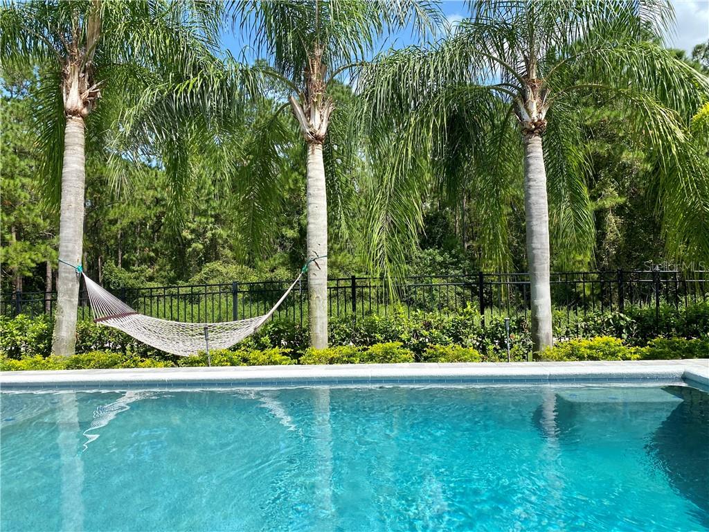 13173 LOWER HARDEN AVE, ORLANDO, FL, 32827