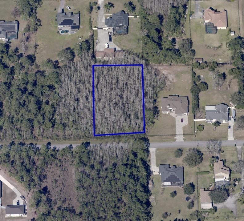 MARDI GRAS ST, ORLANDO, FL, 32833