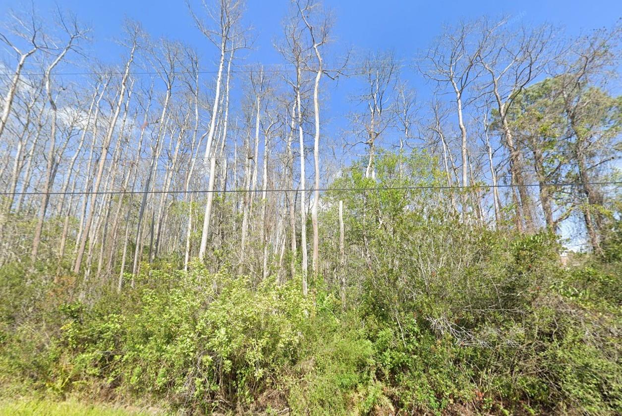 MARDI GRAS ST, ORLANDO, FL, 32833