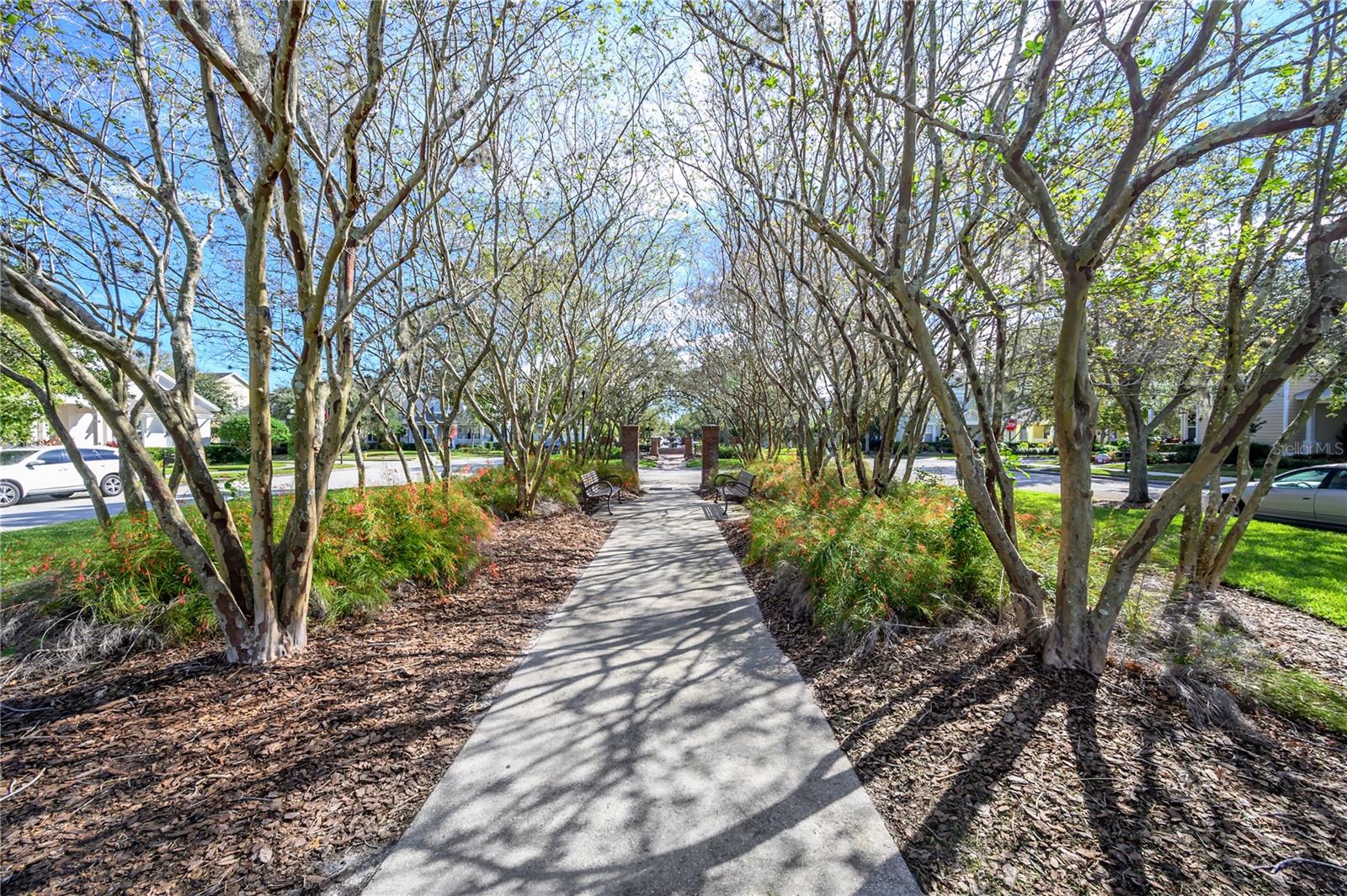 12406 BRISTOL COMMONS CIR, TAMPA, FL, 33626