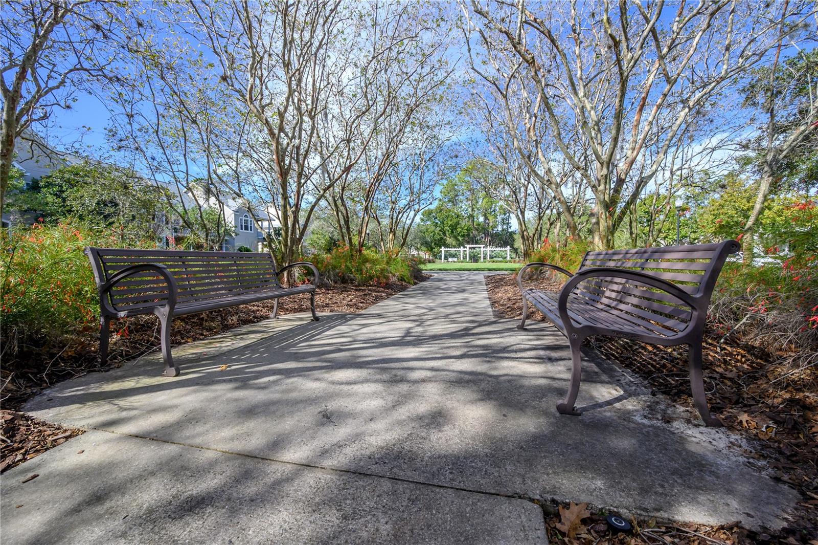 12406 BRISTOL COMMONS CIR, TAMPA, FL, 33626