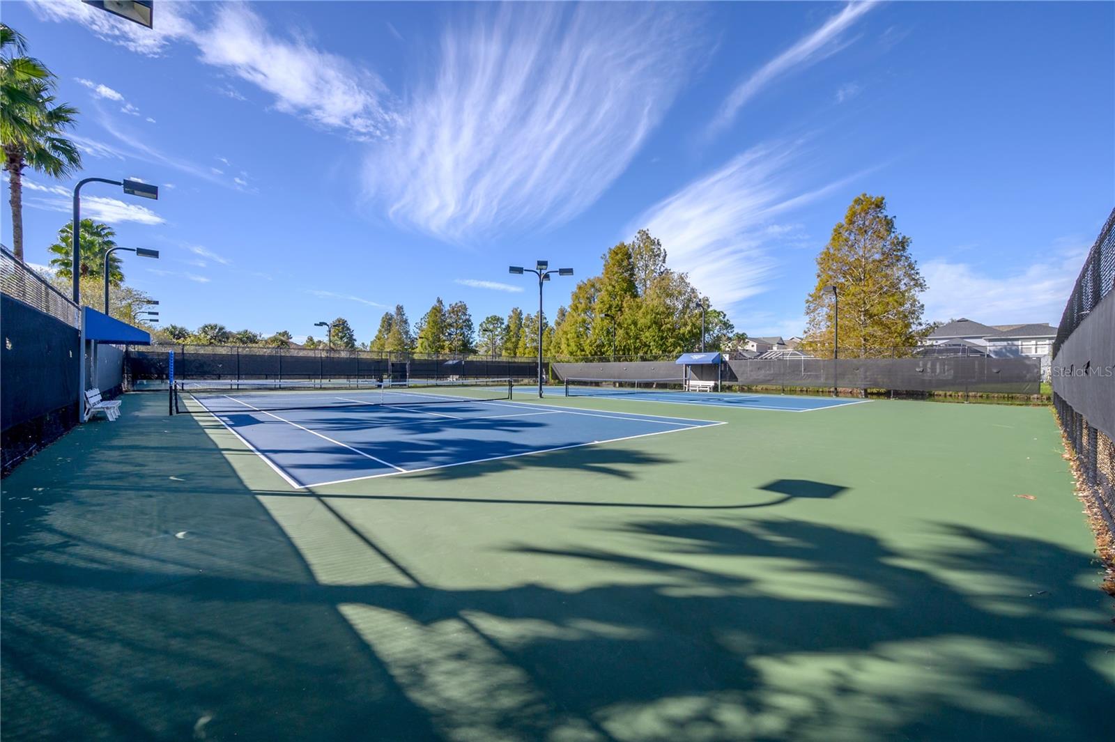 12406 BRISTOL COMMONS CIR, TAMPA, FL, 33626