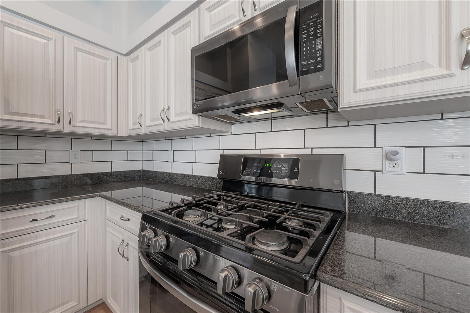 12406 BRISTOL COMMONS CIR, TAMPA, FL, 33626