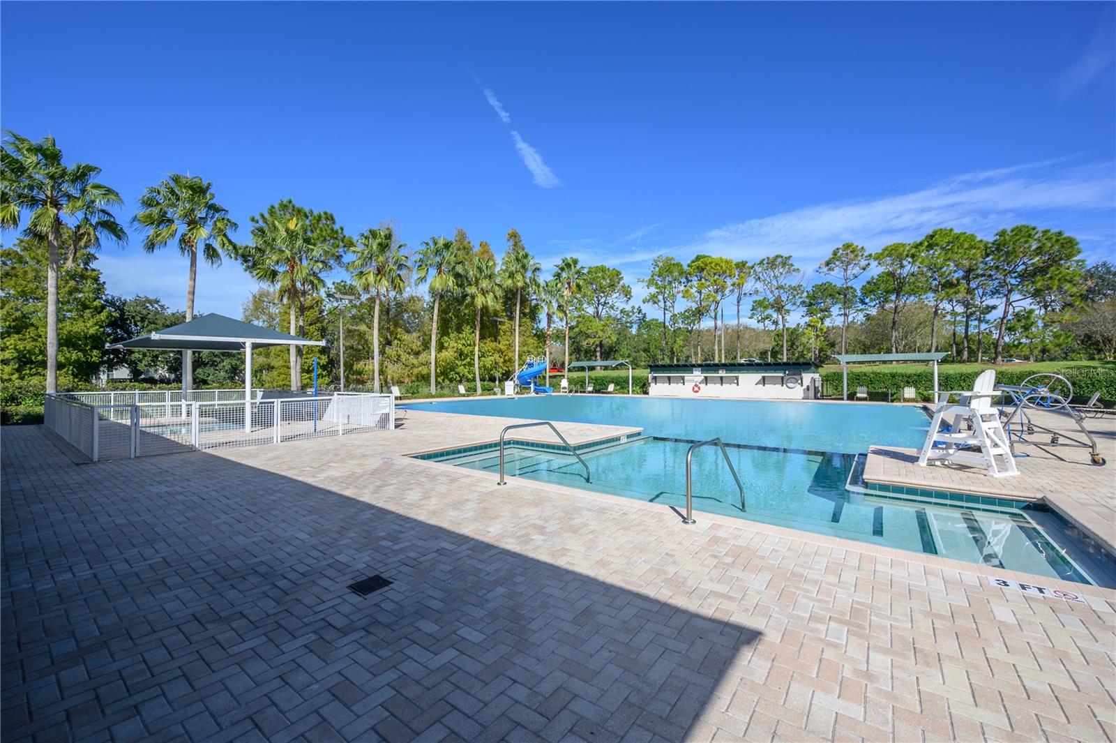 12406 BRISTOL COMMONS CIR, TAMPA, FL, 33626