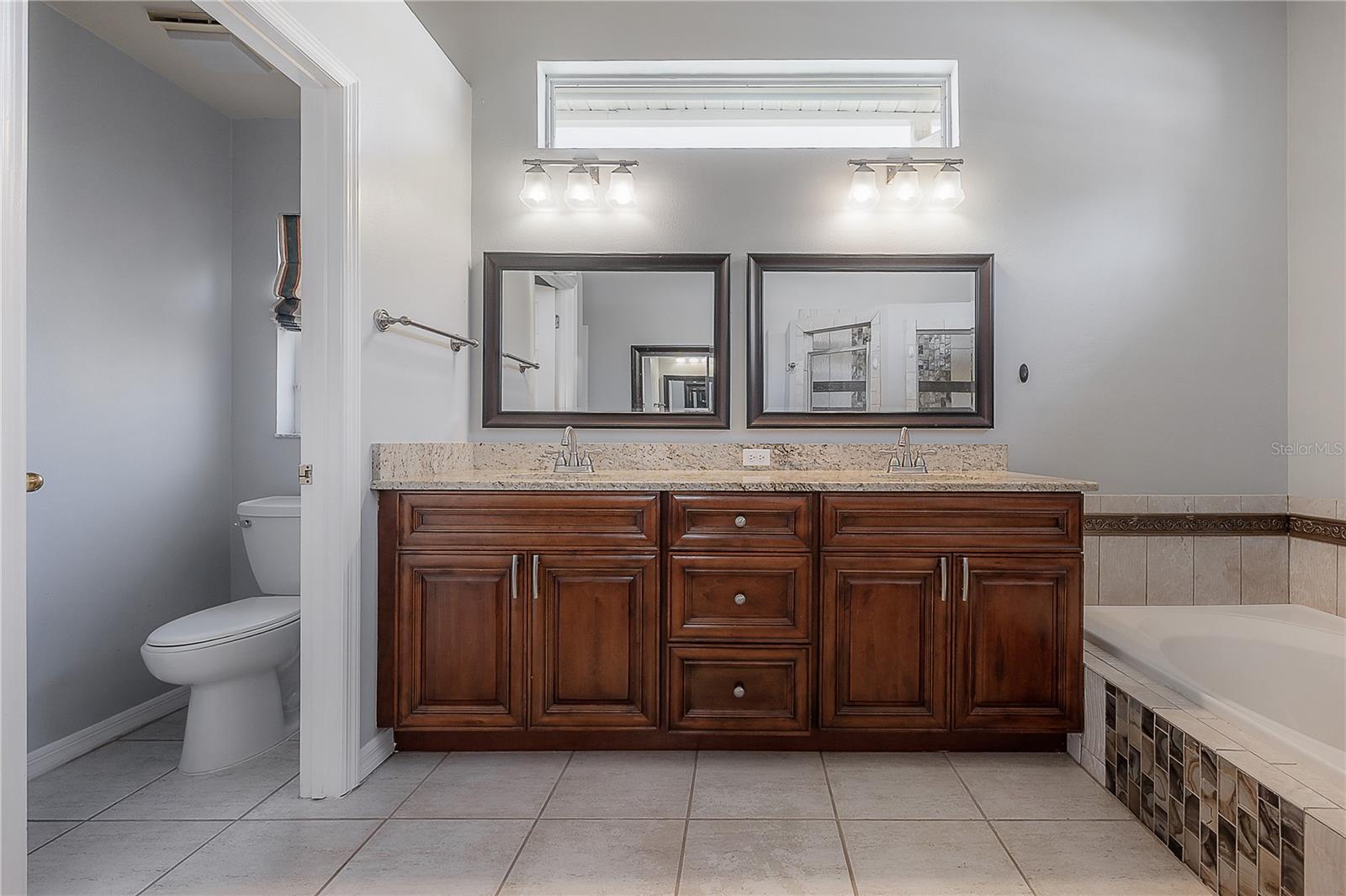 12406 BRISTOL COMMONS CIR, TAMPA, FL, 33626