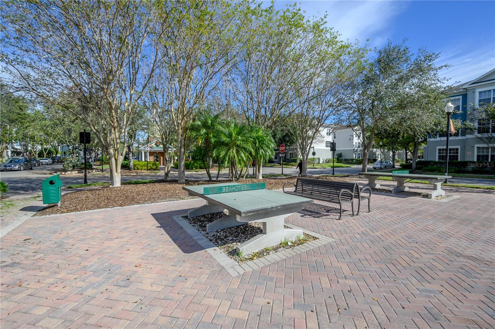 12406 BRISTOL COMMONS CIR, TAMPA, FL, 33626