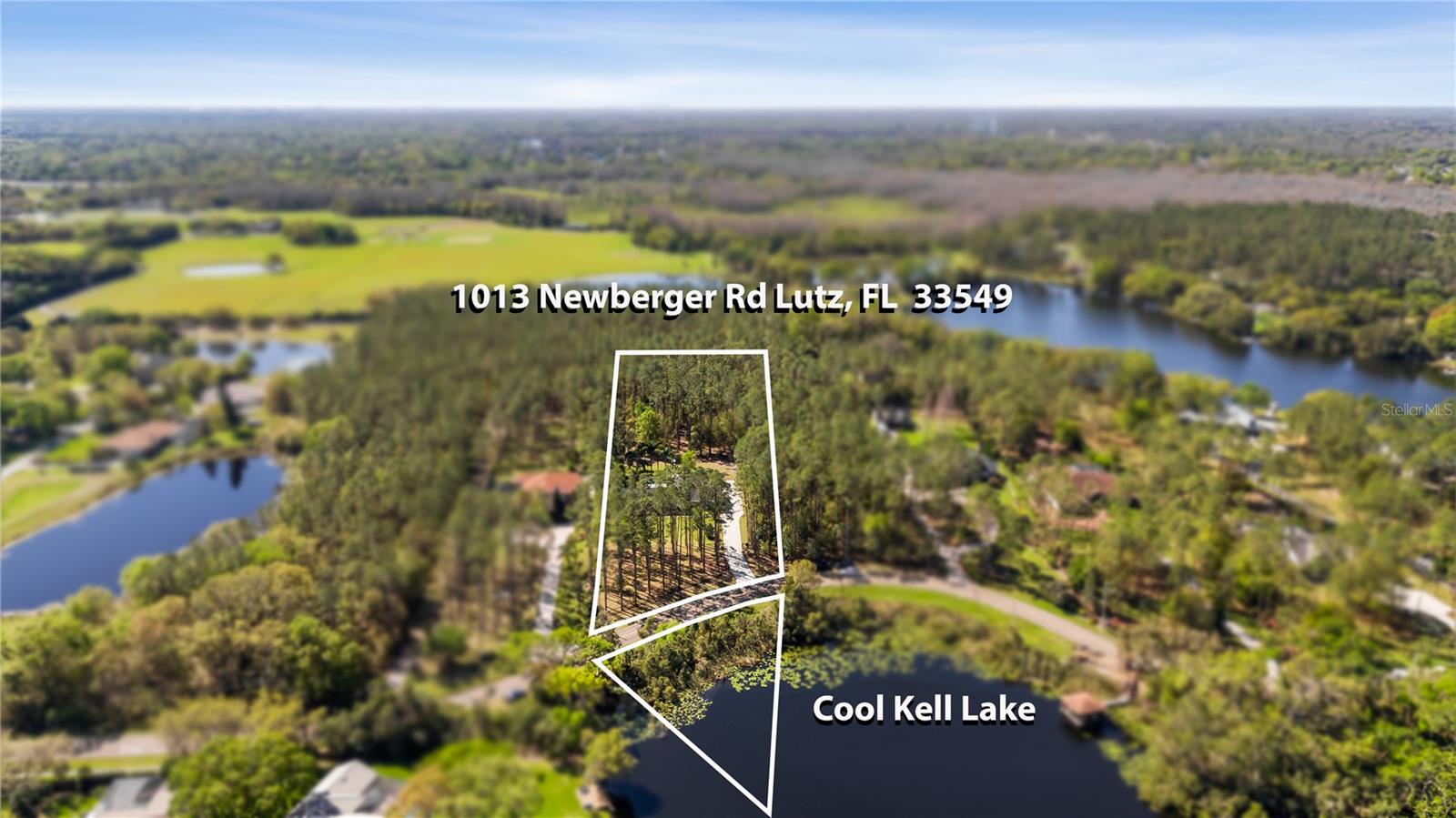 1013 NEWBERGER RD, LUTZ, FL, 33549