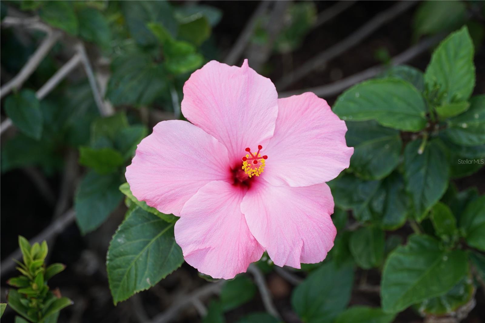 1758 SADDLEWOOD CIR, PORT CHARLOTTE, FL, 33953