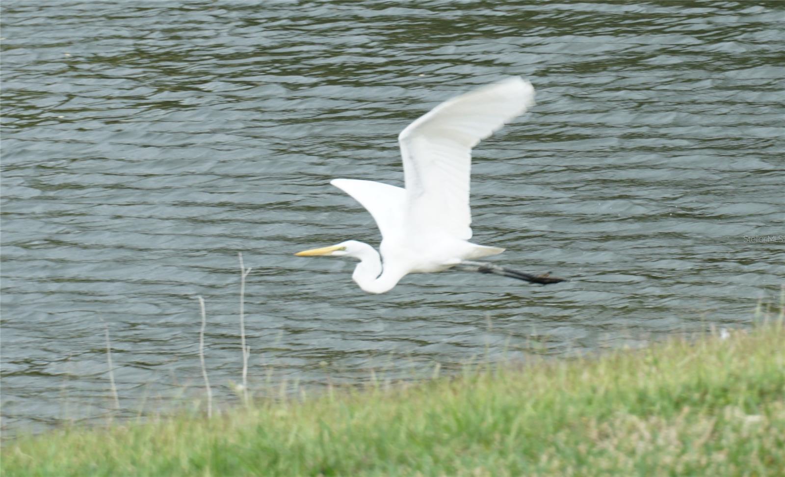 1758 SADDLEWOOD CIR, PORT CHARLOTTE, FL, 33953