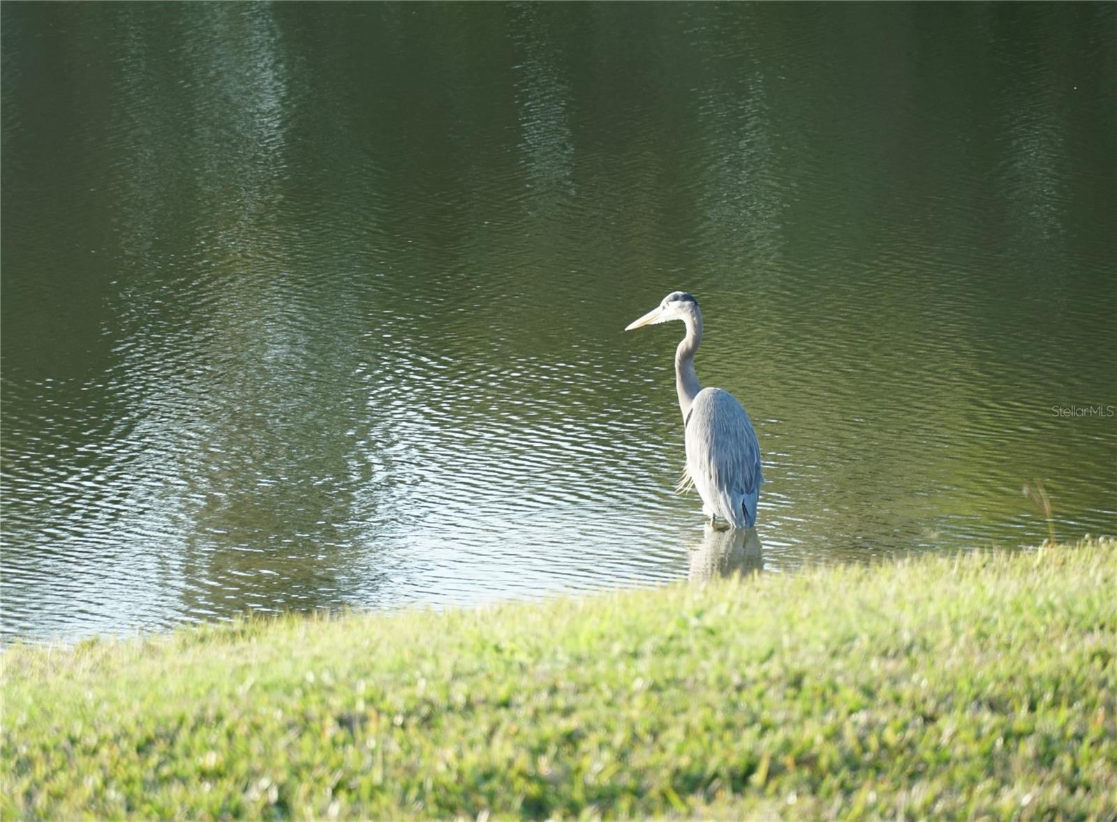 1758 SADDLEWOOD CIR, PORT CHARLOTTE, FL, 33953