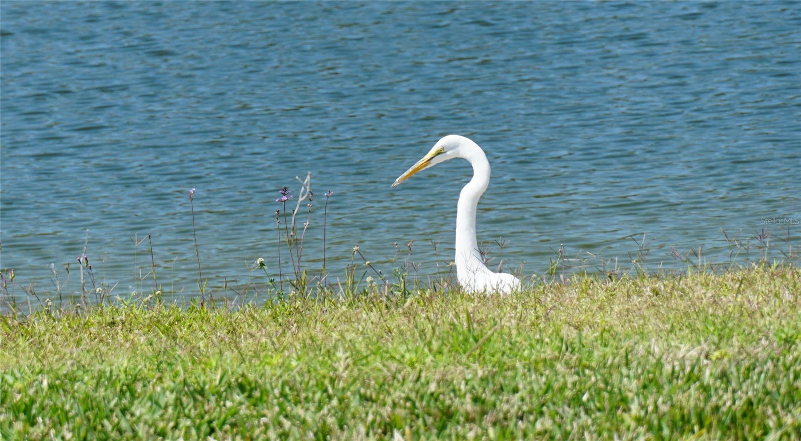 1758 SADDLEWOOD CIR, PORT CHARLOTTE, FL, 33953