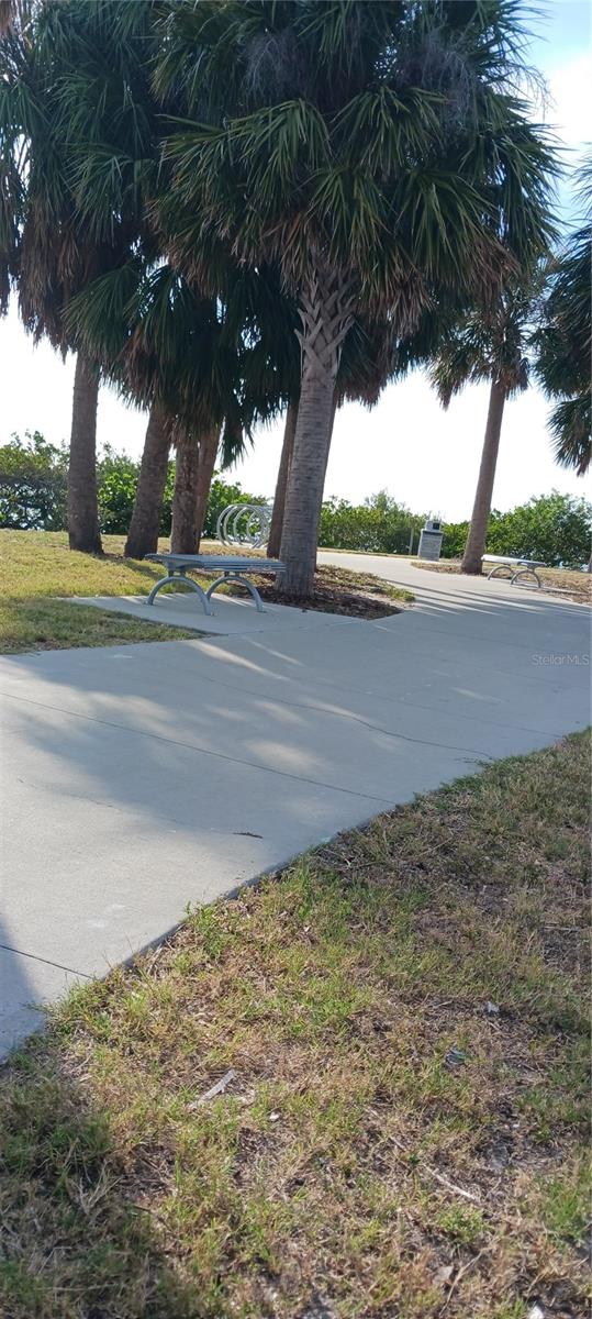 710 SEMINOLE, CLEARWATER, FL, 33755
