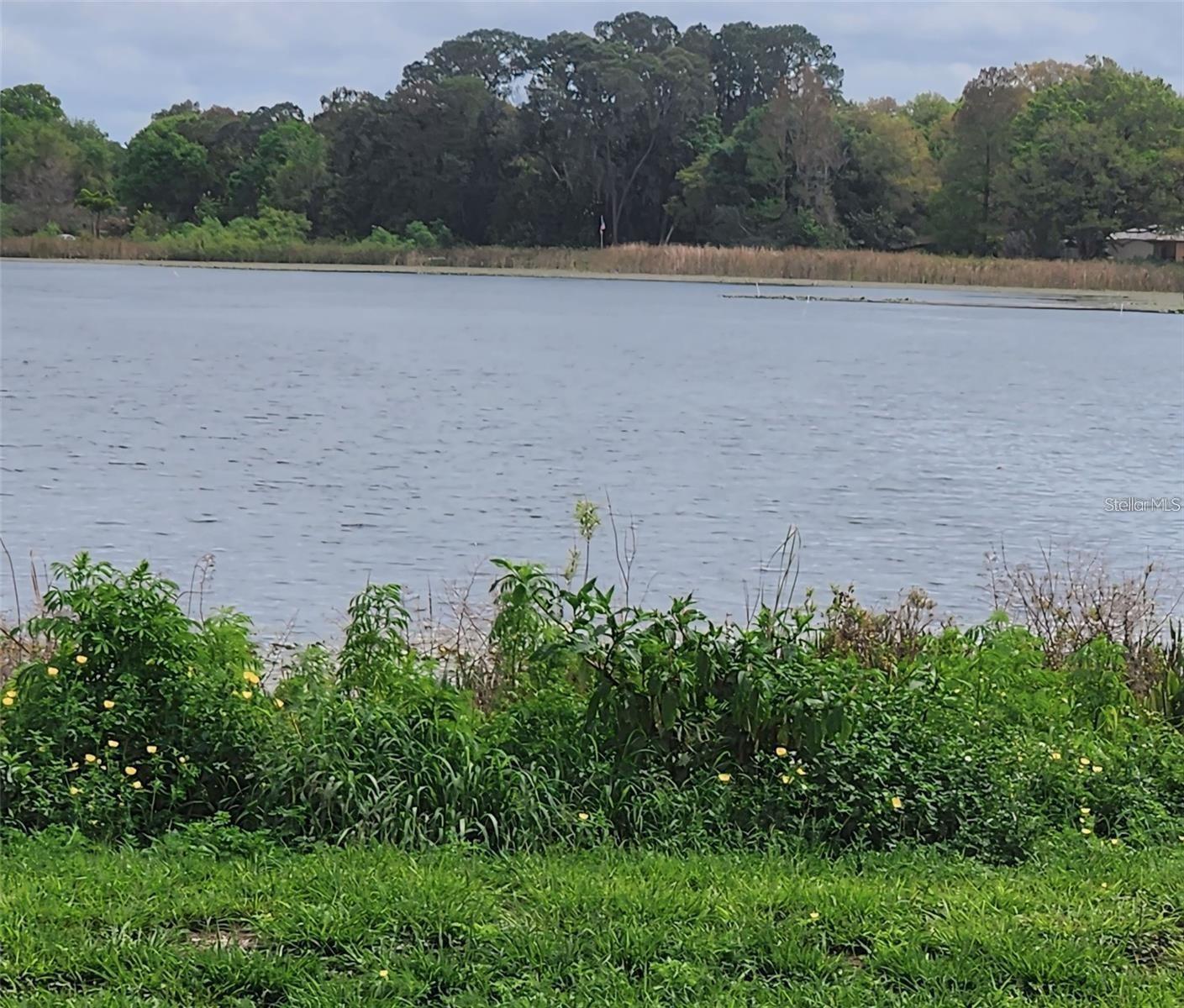 115 BLACK SKIMMER LN, WINTER HAVEN, FL, 33880