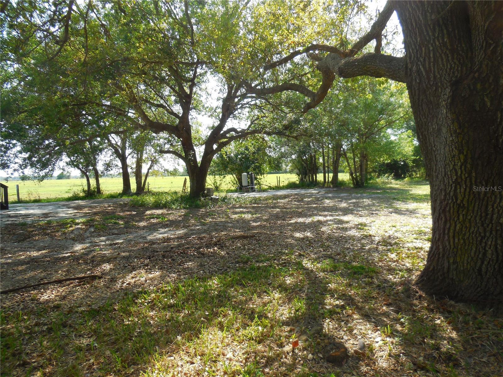 C7506561 Property Photo