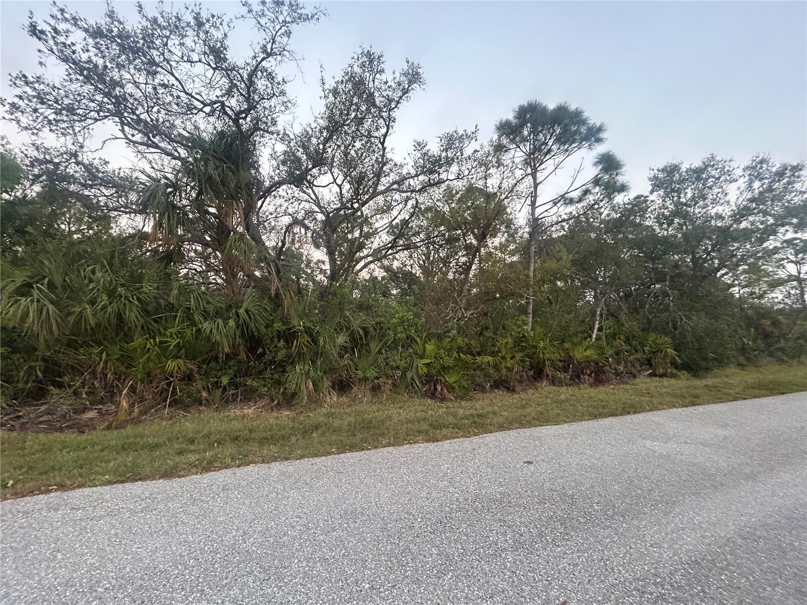 6261 BLACKBERRY ST, ENGLEWOOD, FL, 34224