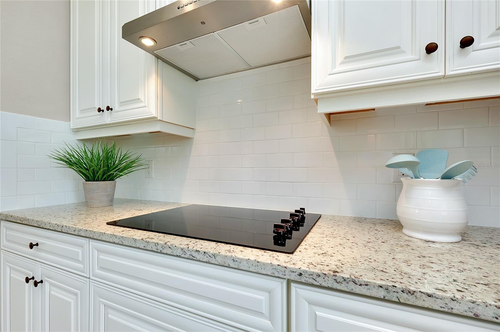 20794 VALPRATO CT, VENICE, FL, 34293