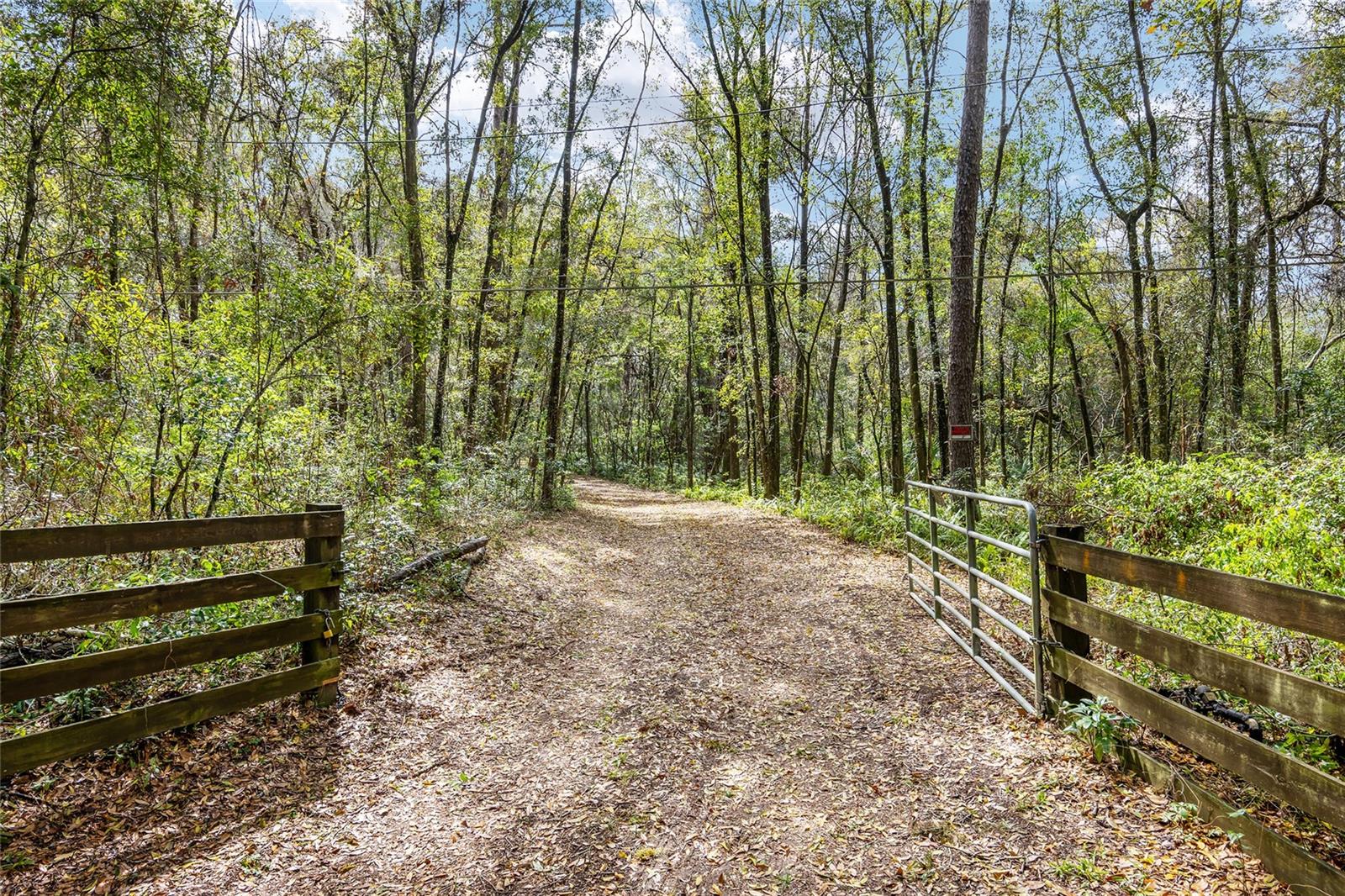 1703 SW 35TH PL, GAINESVILLE, FL, 32608