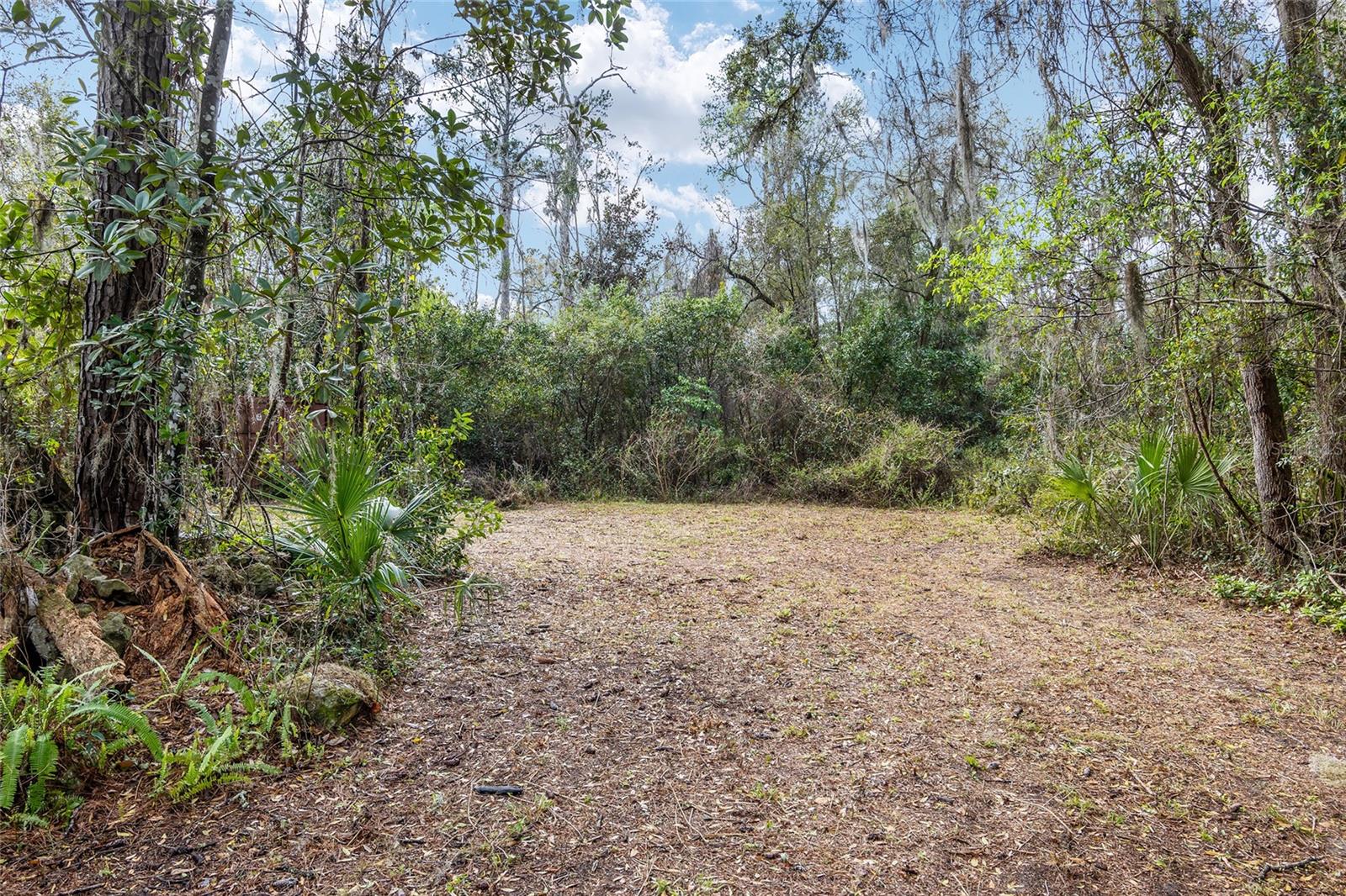 1703 SW 35TH PL, GAINESVILLE, FL, 32608