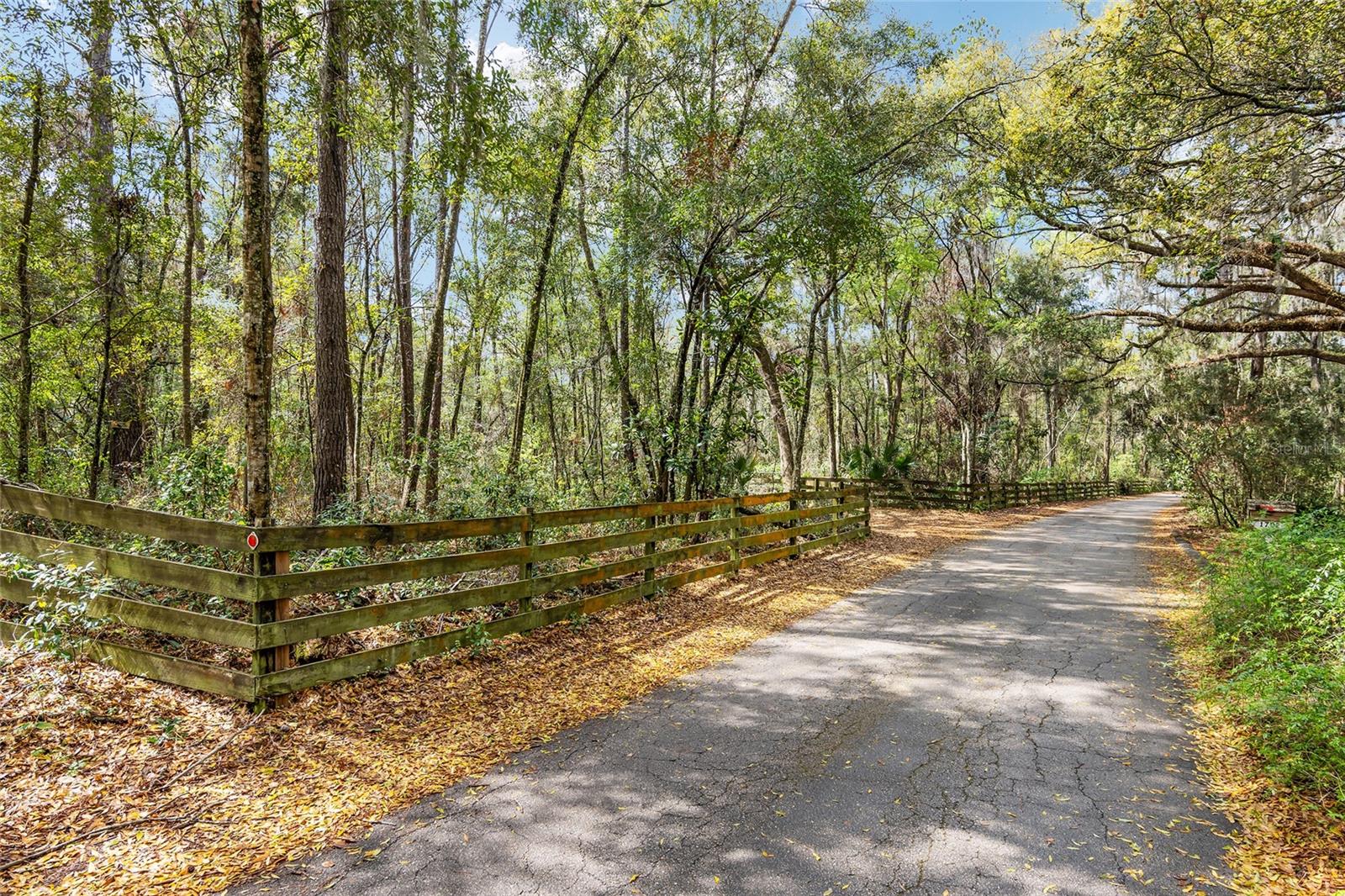 1703 SW 35TH PL, GAINESVILLE, FL, 32608