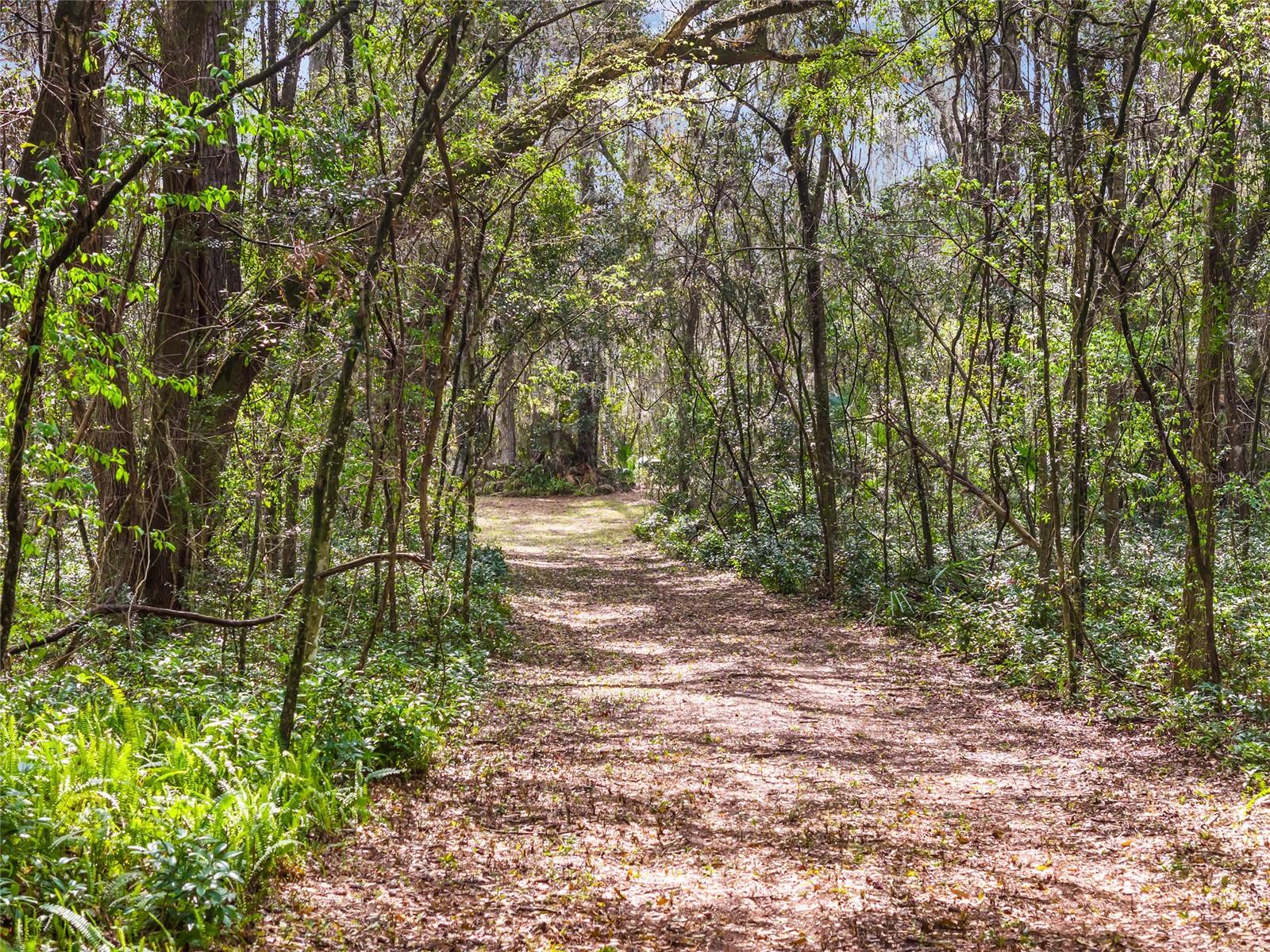 1703 SW 35TH PL, GAINESVILLE, FL, 32608