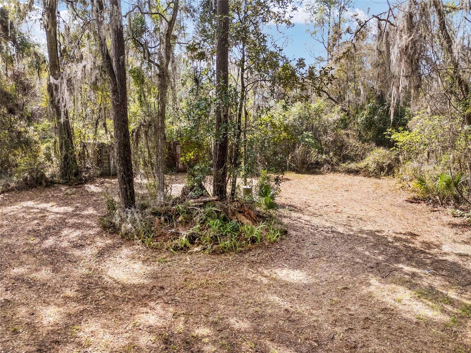 1703 SW 35TH PL, GAINESVILLE, FL, 32608