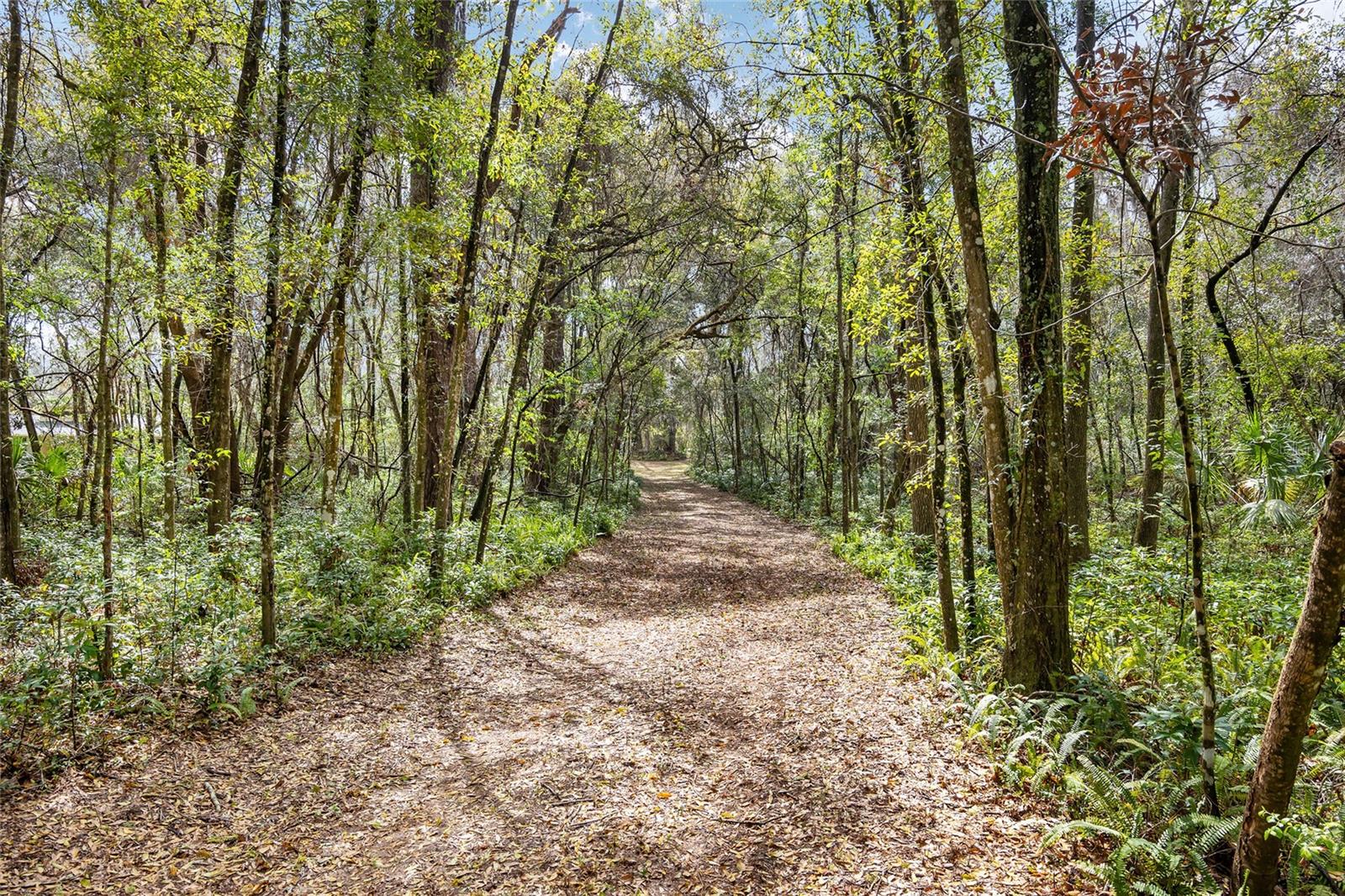 1703 SW 35TH PL, GAINESVILLE, FL, 32608