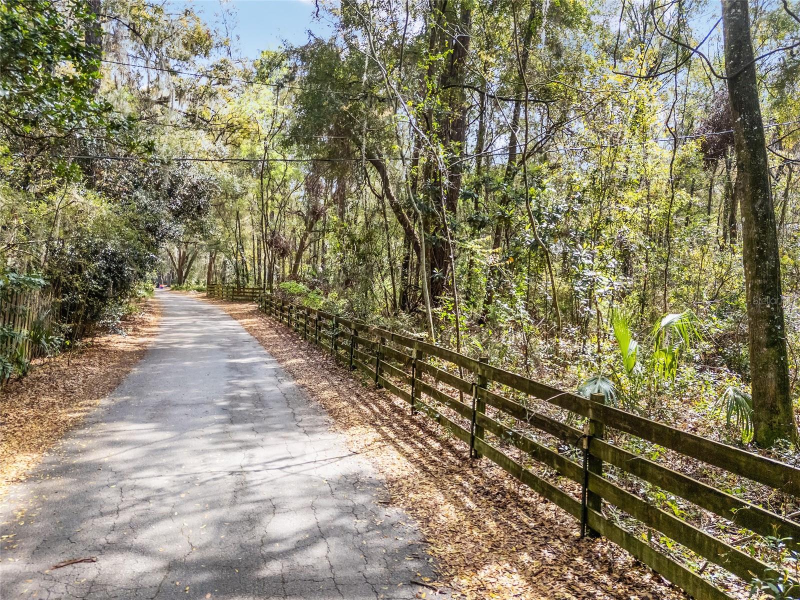 1703 SW 35TH PL, GAINESVILLE, FL, 32608