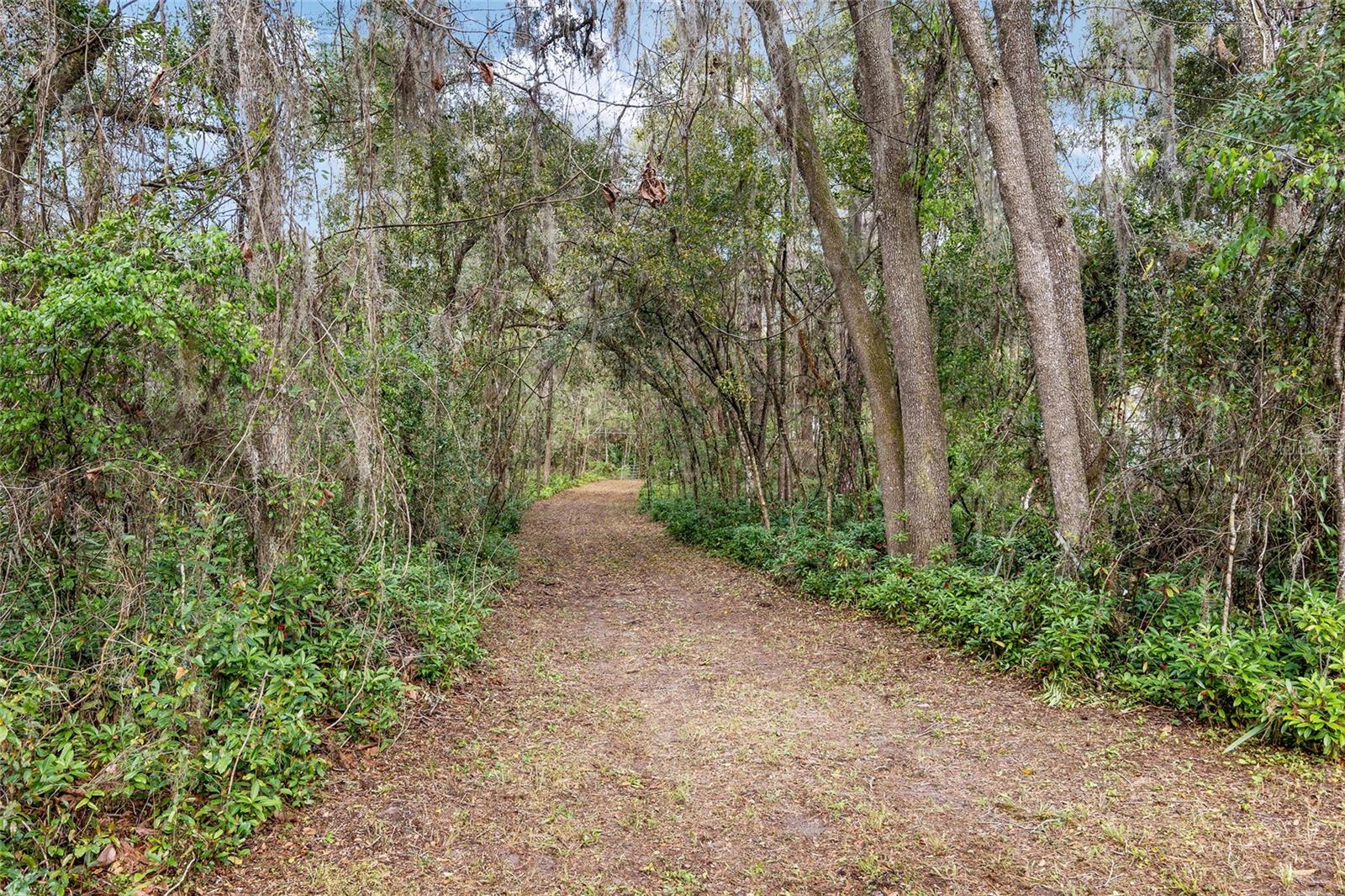 1703 SW 35TH PL, GAINESVILLE, FL, 32608