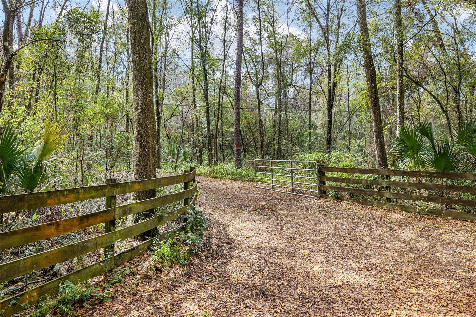 1703 SW 35TH PL, GAINESVILLE, FL, 32608