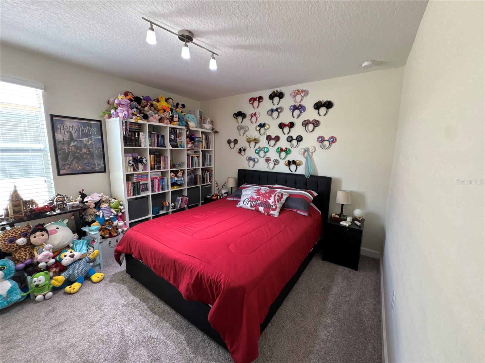 5771 MANGROVE COVE AVE, WINTER GARDEN, FL, 34787
