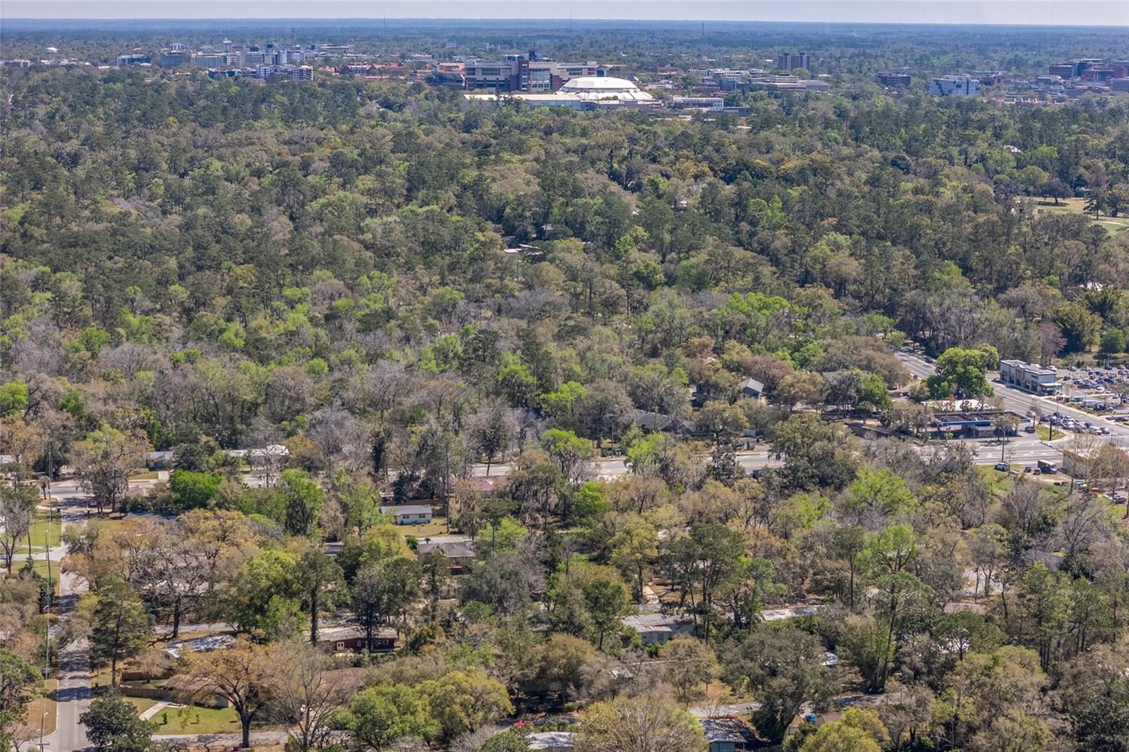 313 NW 34TH DR, GAINESVILLE, FL, 32607
