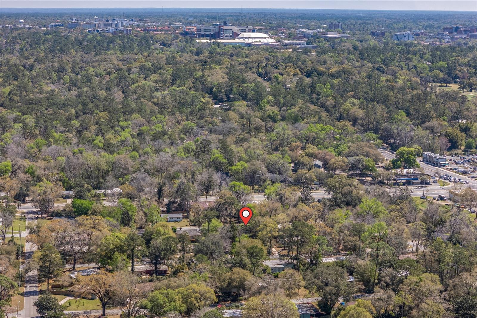 313 NW 34TH DR, GAINESVILLE, FL, 32607