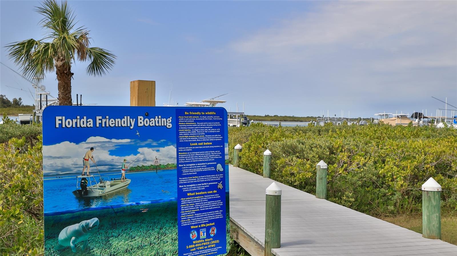 2700 N PENINSULA AVE #113, NEW SMYRNA BEACH, FL, 32169