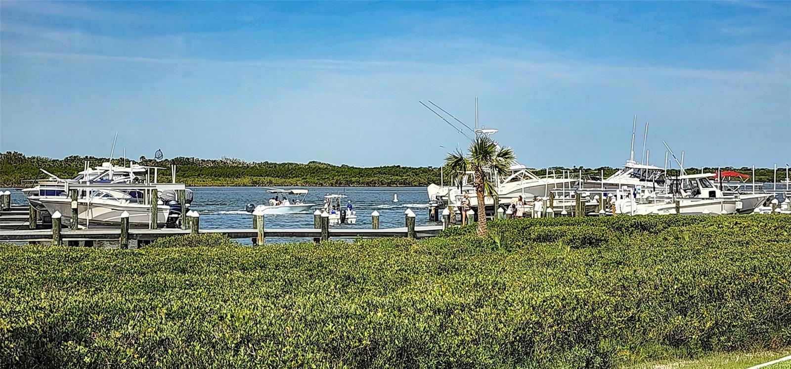 2700 N PENINSULA AVE #113, NEW SMYRNA BEACH, FL, 32169