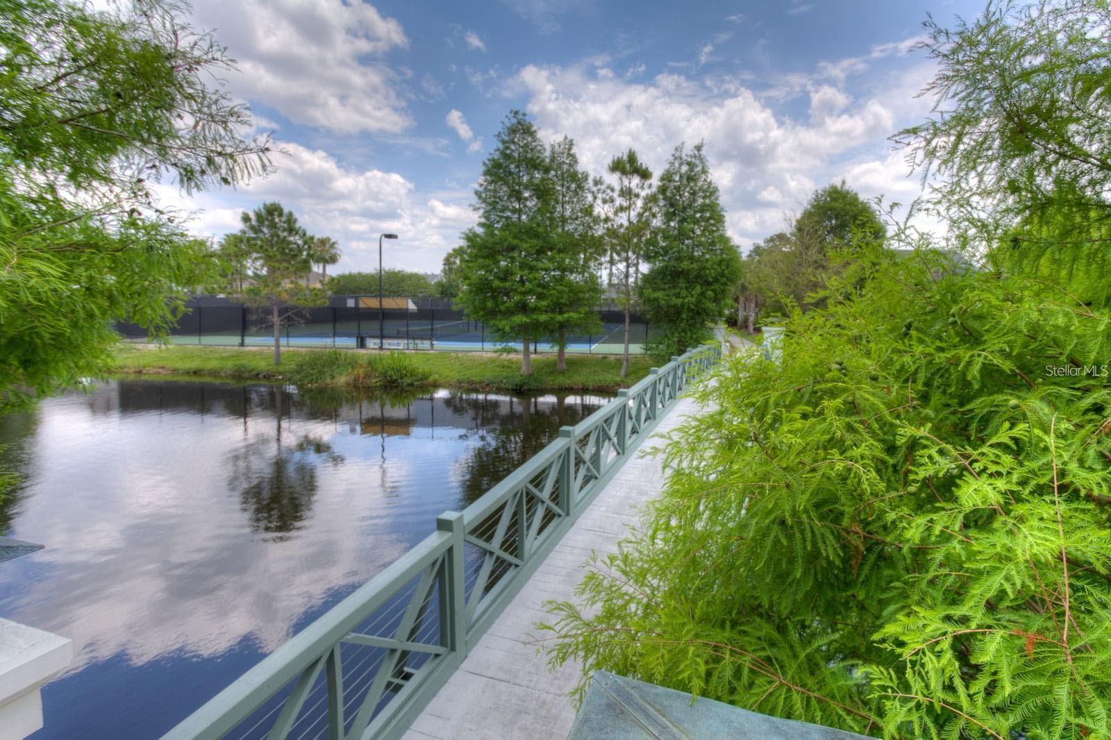 10561 GREENCREST DR, TAMPA, FL, 33626