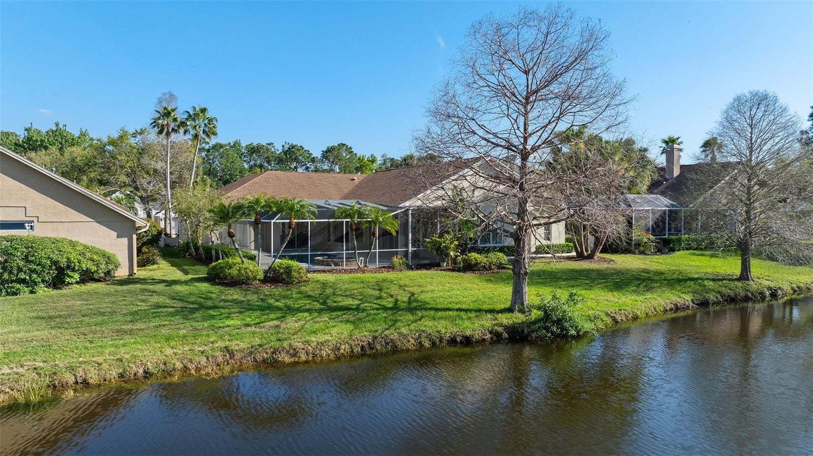 10561 GREENCREST DR, TAMPA, FL, 33626
