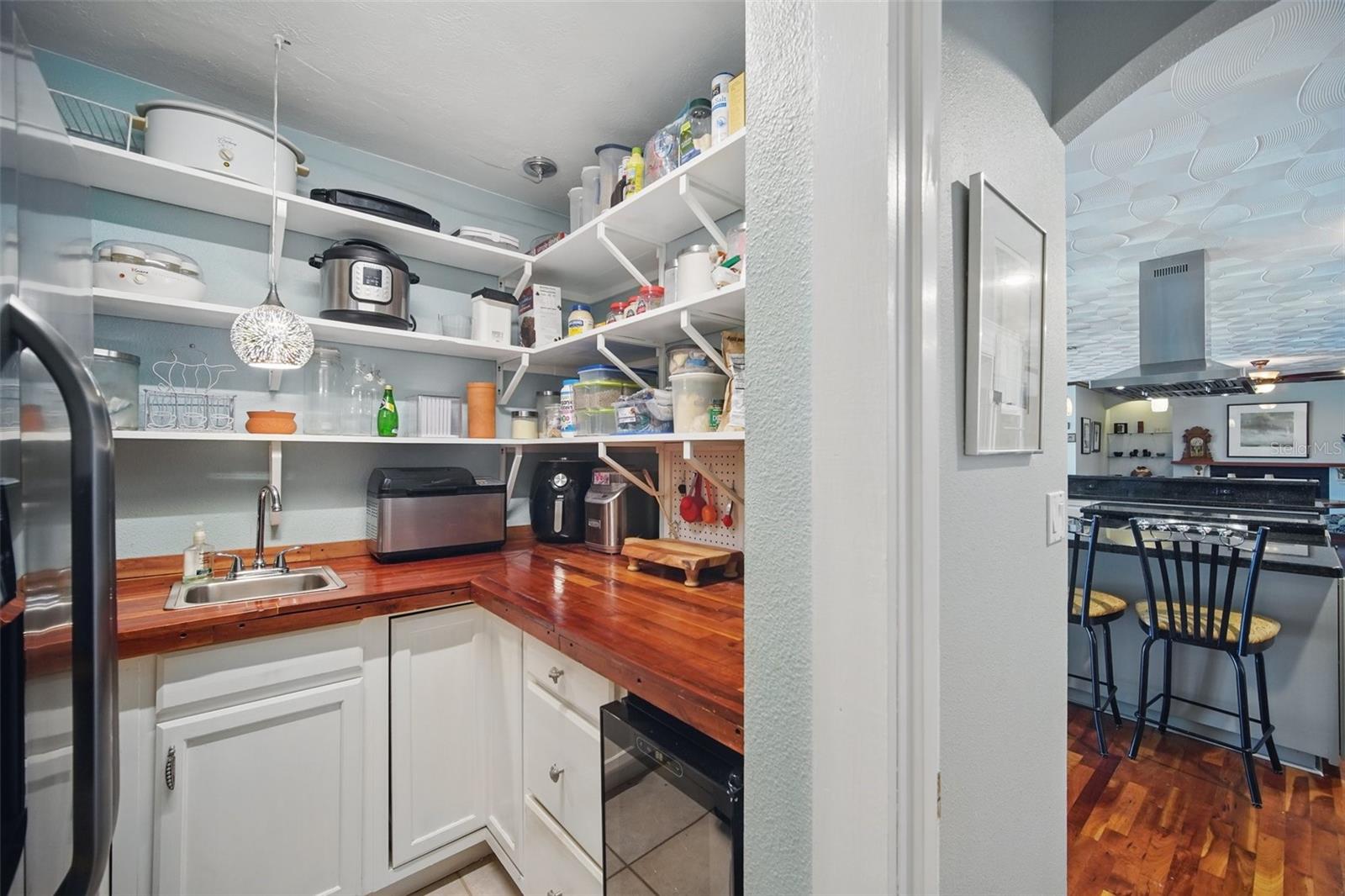 703 VALENCIA SHORES DR, WINTER GARDEN, FL, 34787