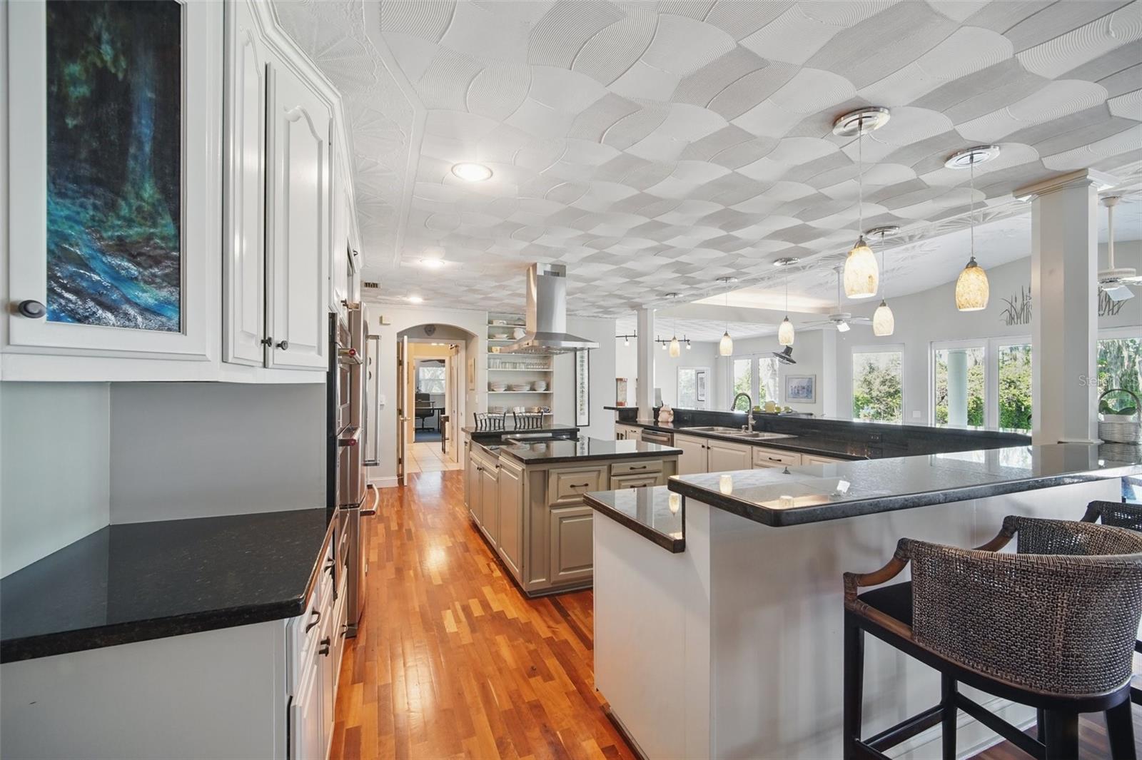 703 VALENCIA SHORES DR, WINTER GARDEN, FL, 34787