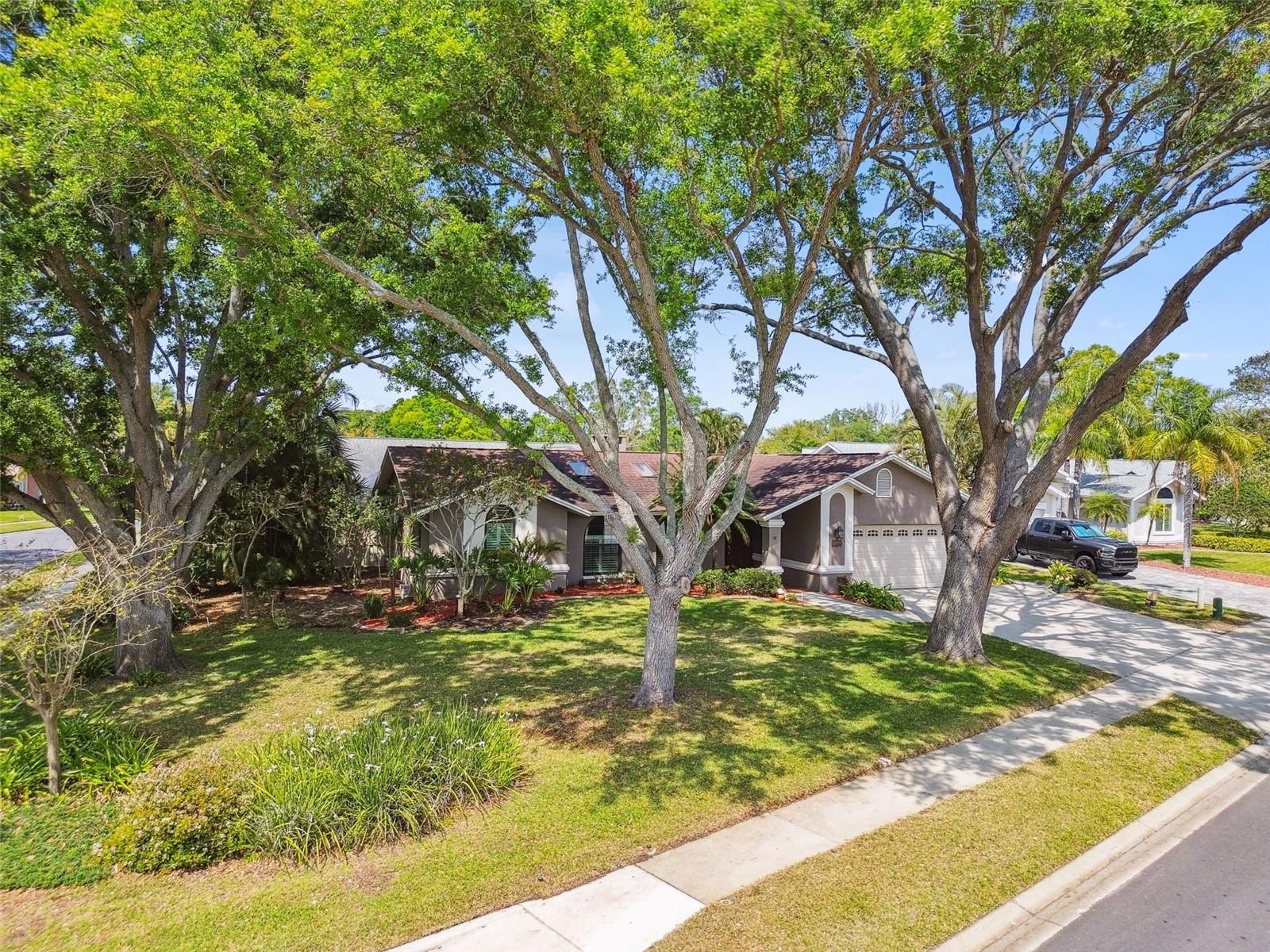 1585 VIRGINIA AVE, PALM HARBOR, FL, 34683