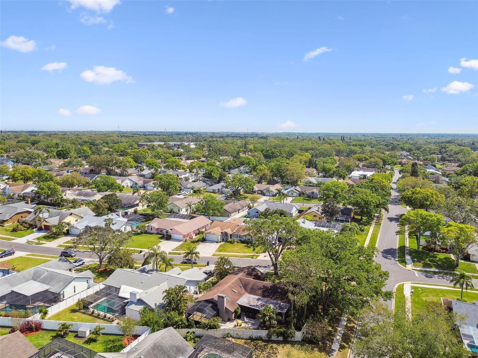 1585 VIRGINIA AVE, PALM HARBOR, FL, 34683