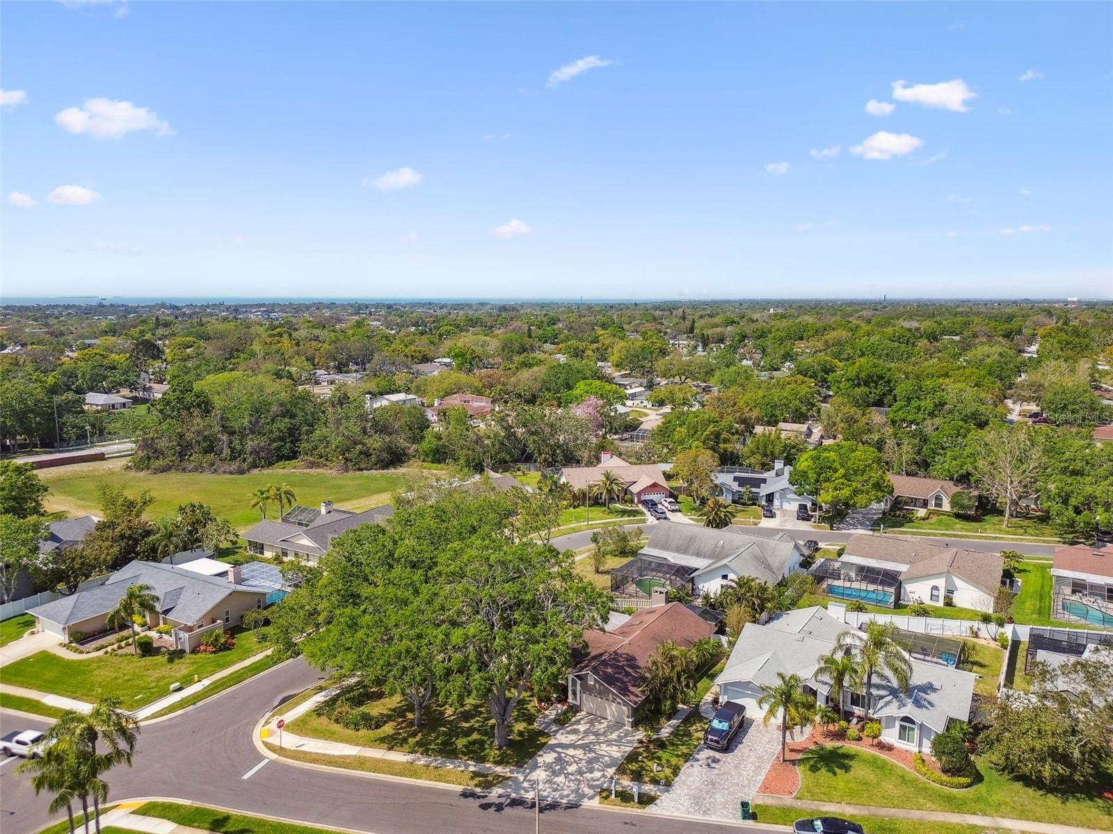 1585 VIRGINIA AVE, PALM HARBOR, FL, 34683
