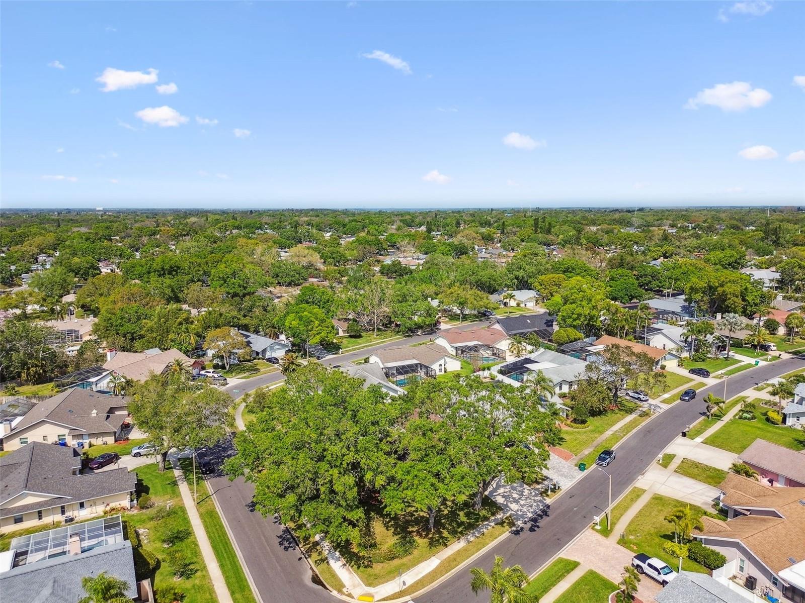 1585 VIRGINIA AVE, PALM HARBOR, FL, 34683