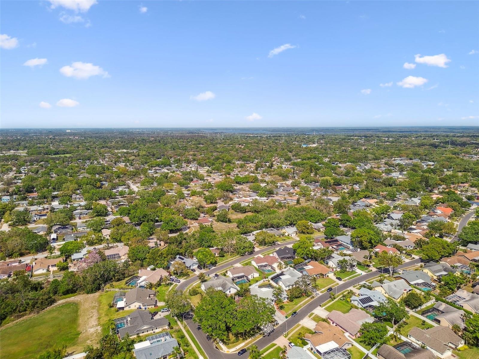 1585 VIRGINIA AVE, PALM HARBOR, FL, 34683