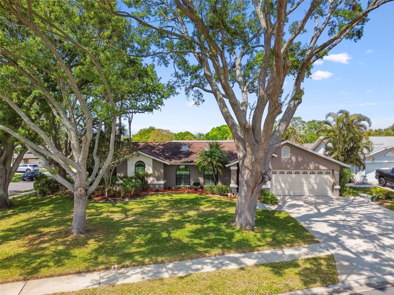 1585 VIRGINIA AVE, PALM HARBOR, FL, 34683