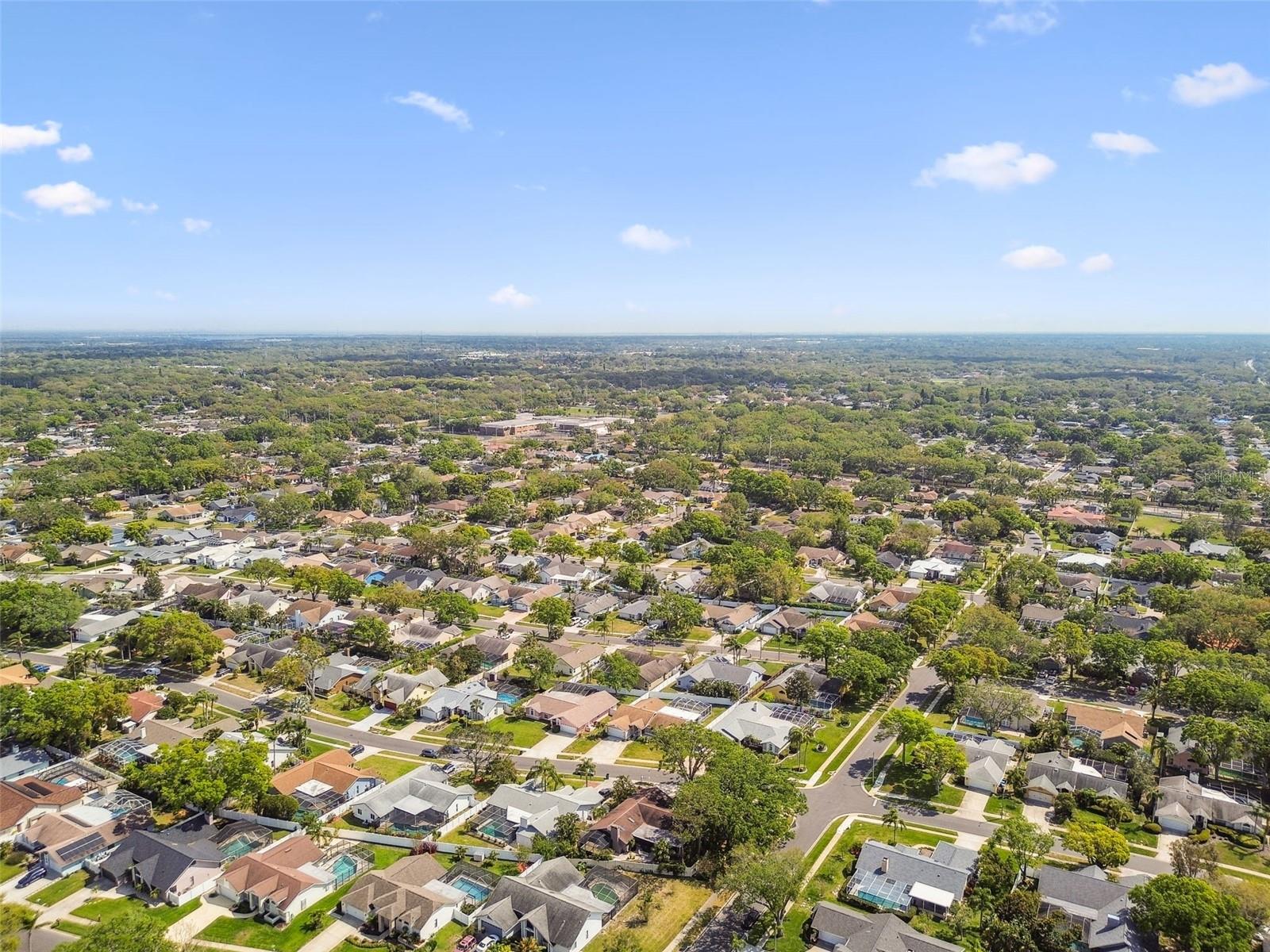 1585 VIRGINIA AVE, PALM HARBOR, FL, 34683
