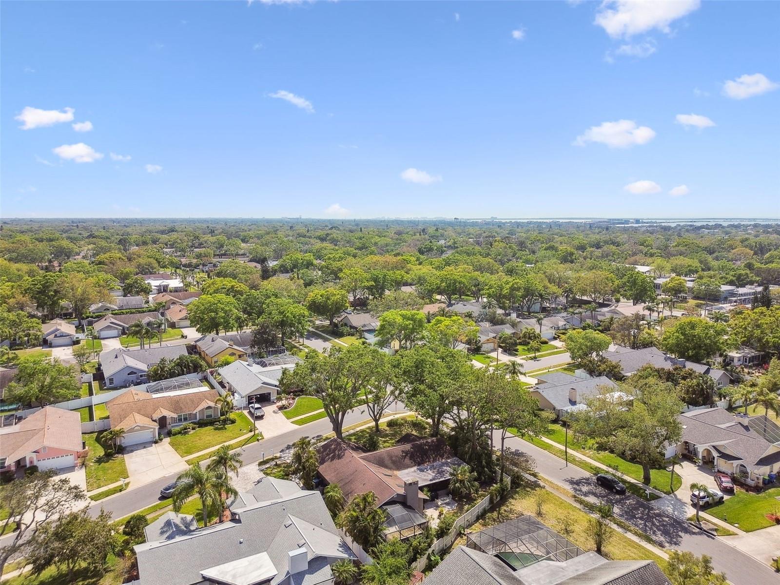 1585 VIRGINIA AVE, PALM HARBOR, FL, 34683